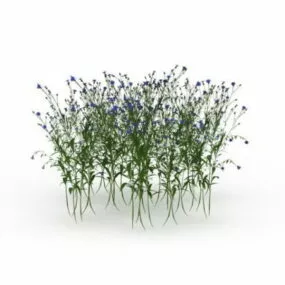Flowering Shrubs 3d model