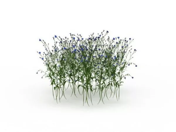 Flowering Shrubs 3d model Flowering Shrubs 3d model