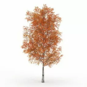 Autumn Poplar Tree 3d model
