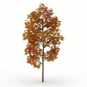 Golden Autumn Tree 3d model