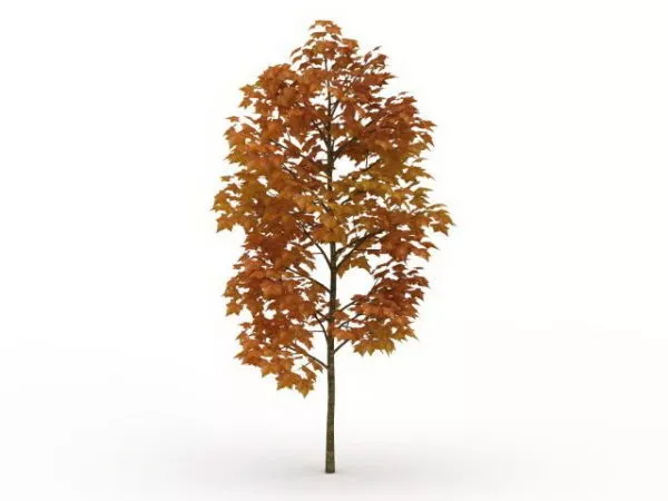 Golden Autumn Tree 3d model Golden Autumn Tree 3d model