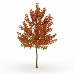 Tree In Autumn 3d model