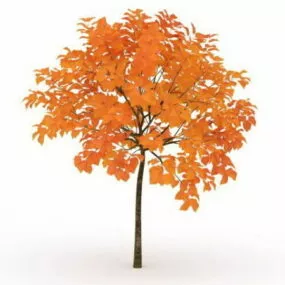Maple Fall Tree 3d model