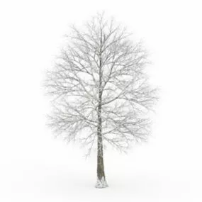 Winter Tree 3d model