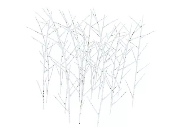 Monrovia Shrub Plant 3d model