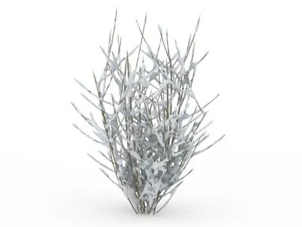 Winter Shrub 3d model Winter Shrub 3d model