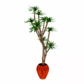 Potted Trees For Indoor 3d model