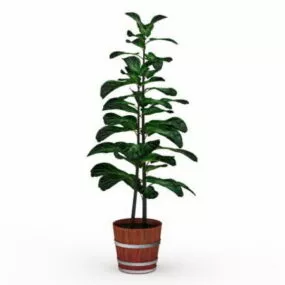 Barrel Potted Plants 3d model