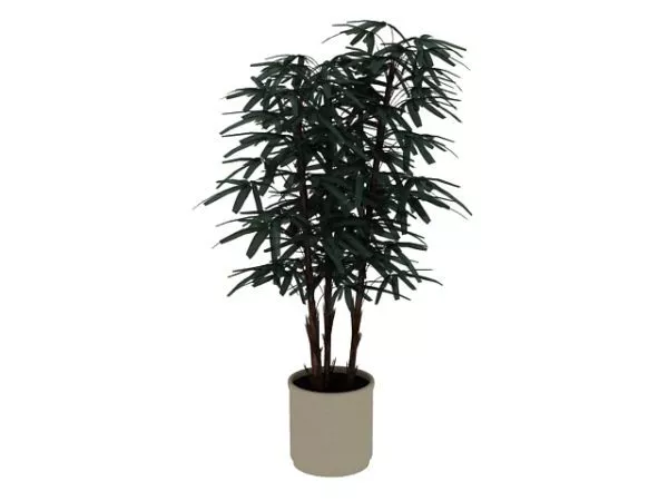 Potted Bamboo Plant 3d model Potted Bamboo Plant 3d model