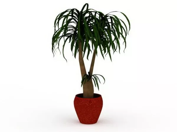 Bonsai Plant In Pot 3d model Bonsai Plant In Pot 3d model