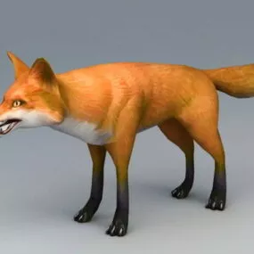 Red Fox 3d model