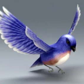 Eastern Bluebird 3d model