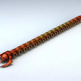 Red Centipede 3d model