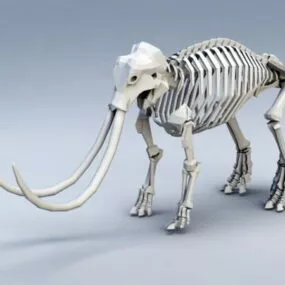 Mammoth Skeleton 3d model