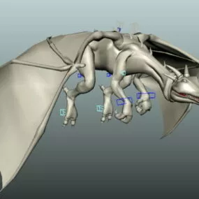 Rig Dragon Animation 3d model