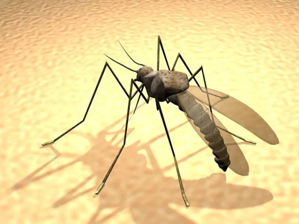 Monster Mosquito 3d model