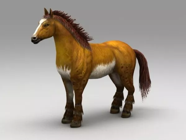 Horse Gallop Animal 3d model