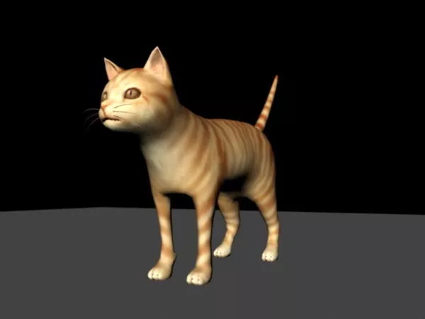 Orange Tabby Cat 3d model Orange Tabby Cat 3d model