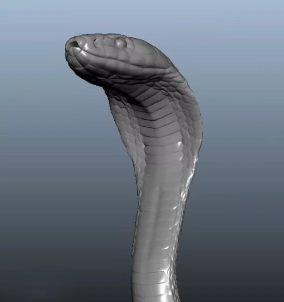 Cobra Snake 3d model Cobra Snake 3d model