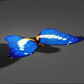 Blue Butterfly 3d model