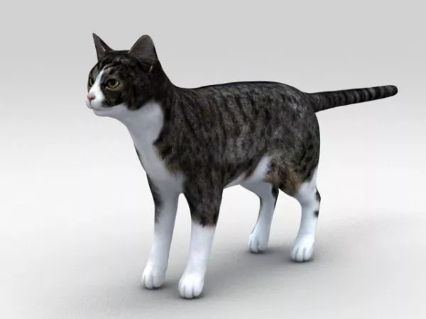 Cat Walking Low Poly Animal 3d model
