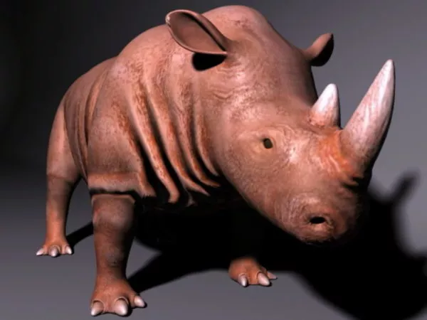 Brown Rhino 3d model Brown Rhino 3d model
