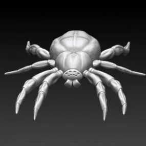 Giant Spider 3d model