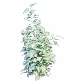 Variegated Shrubs Landscape Plant 3d model