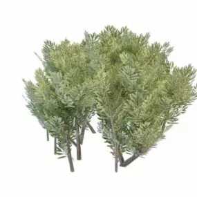 Landscaping Bushes Plants 3d model