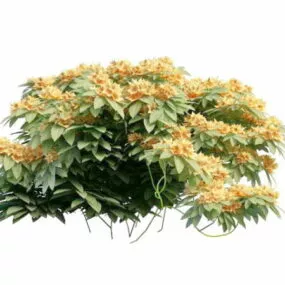 Orange Flower Shrub 3d model
