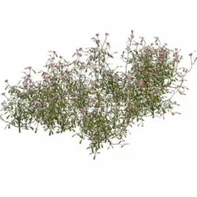 Butterfly Pink Flower Plant 3d model