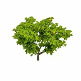 Dragon Fruit Tree 3d model