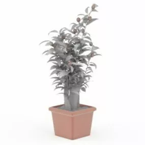 Fruit Tree In Pot 3d model