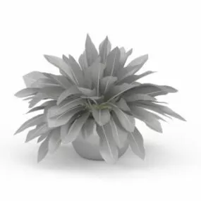 Pot Plant 3d model