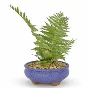Fern In Blue Pot 3d model