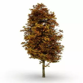 Autumn Maple Tree 3d model