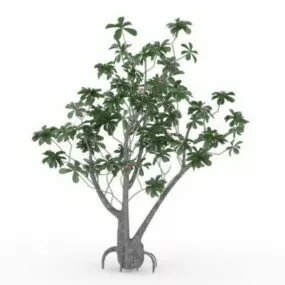Pink Flower Tree 3d model