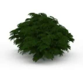 Landscaping Bushes Shrubs 3d model