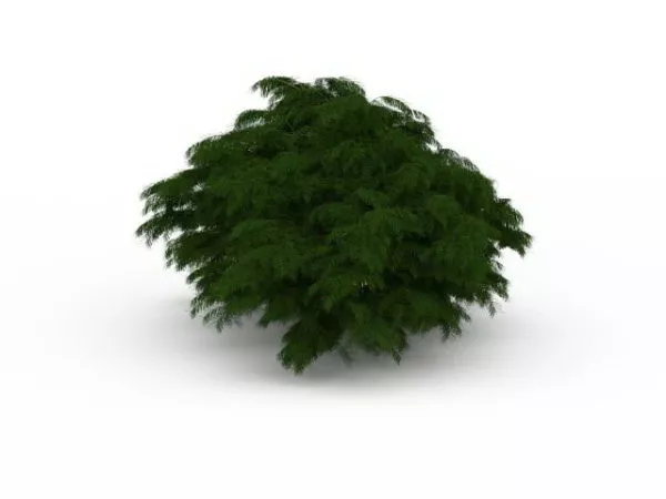 Branches Bushes 3d model