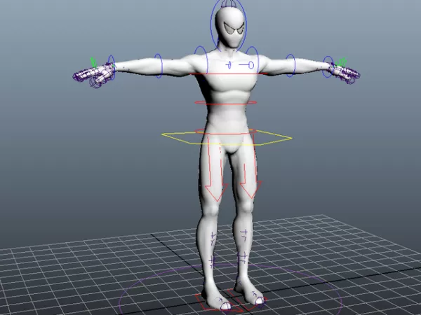 Cartoon Funny Spider 3d model