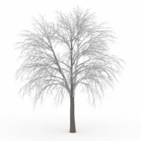Beautiful Iced Tree 3d model