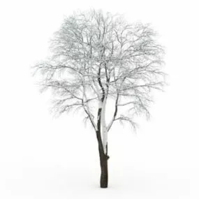 Tall Tree Covered By Snow 3d model