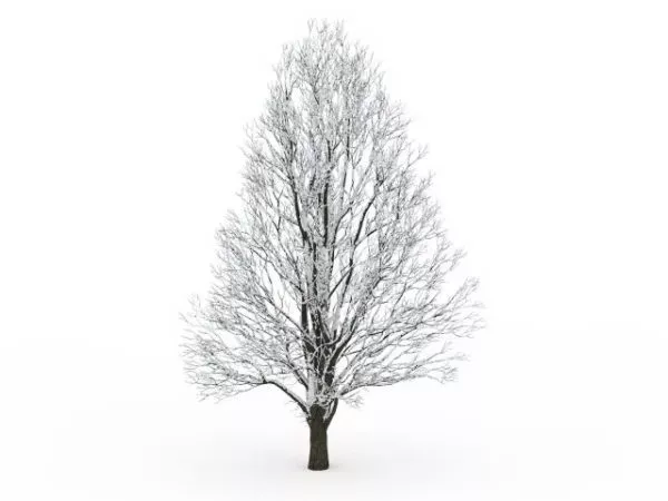 Tree Covered With Snow 3d model Tree Covered With Snow 3d model