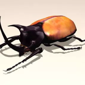 Rhinoceros Beetle 3d model