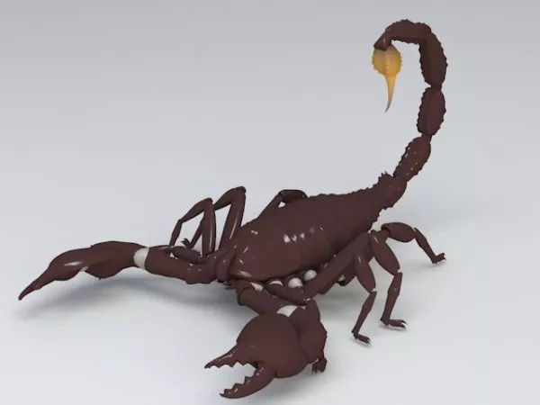 Red Scorpion Insect Animal 3d model