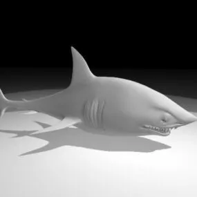 Cartoon Shark 3d model