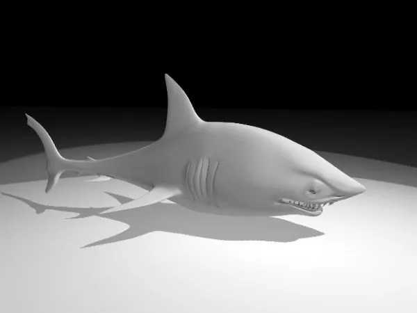 Cartoon Abstract Baby Shark 3d model