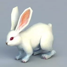 White Rabbit 3d model