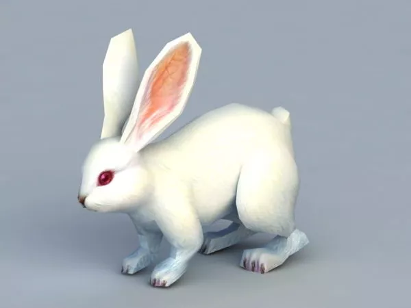 Rabbit Cartoon Rigged Character 3d model