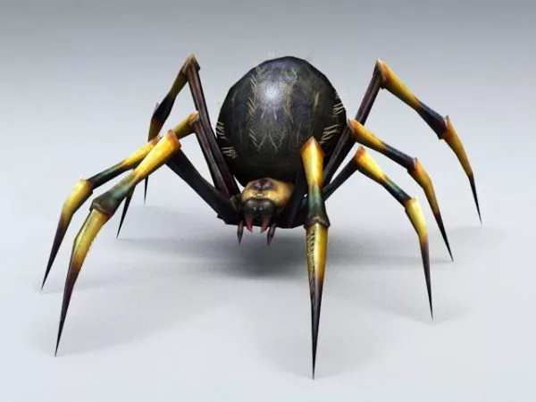 Black And Yellow Spider 3d model Black And Yellow Spider 3d model